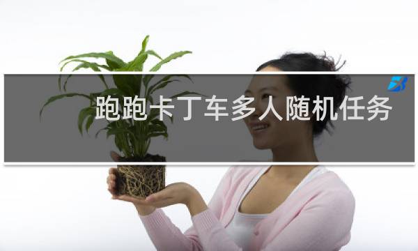 跑跑卡丁车多人随机任务