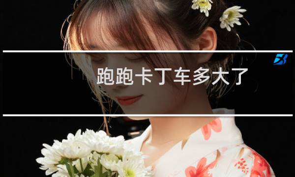 跑跑卡丁车多大了