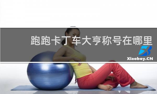 跑跑卡丁车大亨称号在哪里