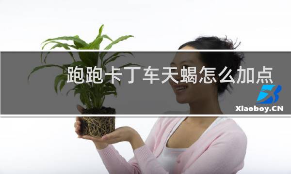 跑跑卡丁车天蝎怎么加点