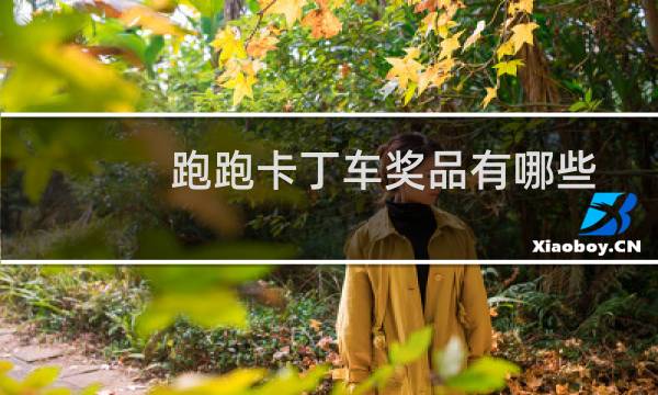 跑跑卡丁车奖品有哪些