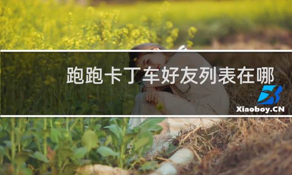 跑跑卡丁车好友列表在哪