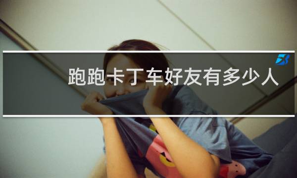 跑跑卡丁车好友有多少人