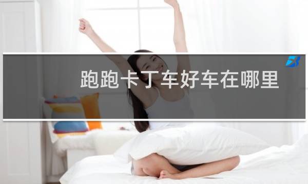 跑跑卡丁车好车在哪里