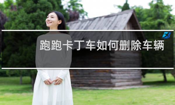 跑跑卡丁车如何删除车辆