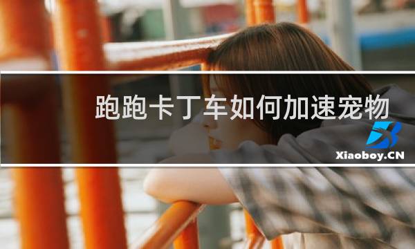 跑跑卡丁车如何加速宠物