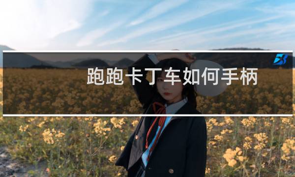 跑跑卡丁车如何手柄