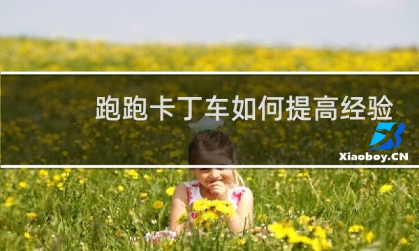 跑跑卡丁车如何提高经验