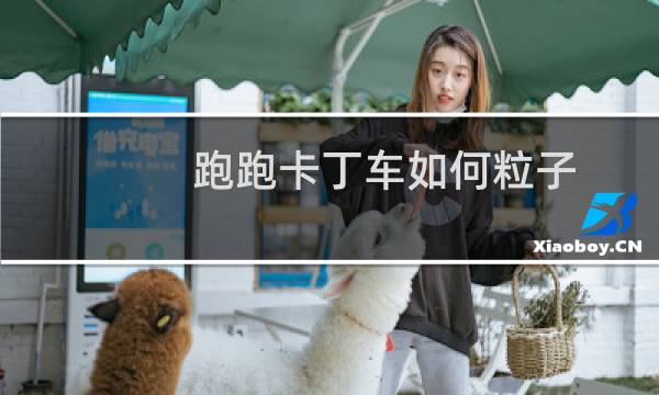 跑跑卡丁车如何粒子