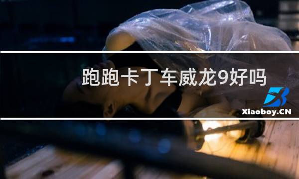 跑跑卡丁车威龙9好吗