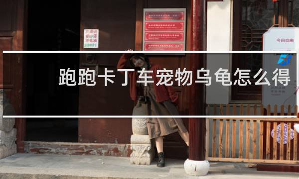 跑跑卡丁车宠物乌龟怎么得