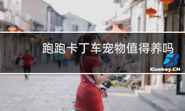 跑跑卡丁车宠物值得养吗