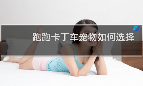 跑跑卡丁车宠物如何选择