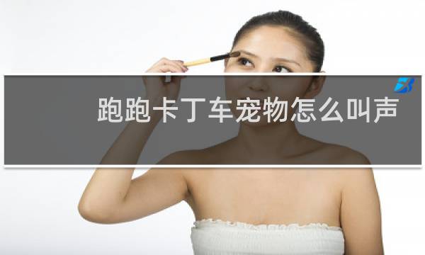跑跑卡丁车宠物怎么叫声