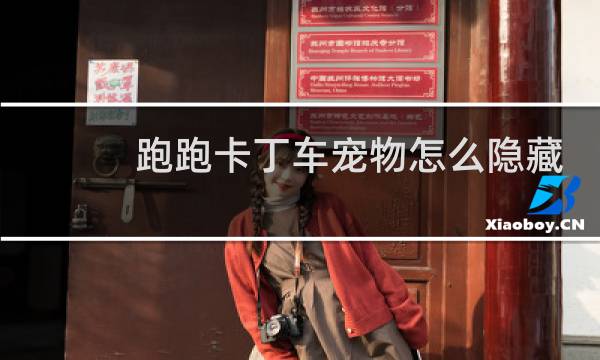 跑跑卡丁车宠物怎么隐藏