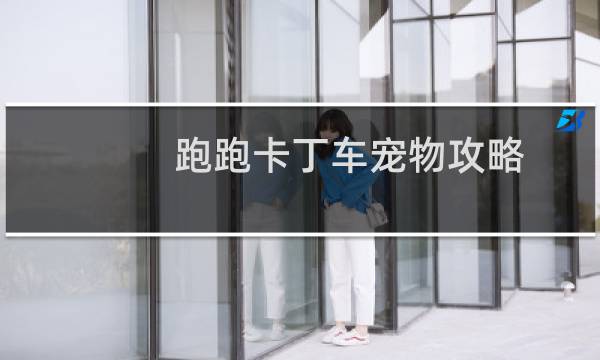 跑跑卡丁车宠物攻略