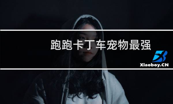 跑跑卡丁车宠物最强