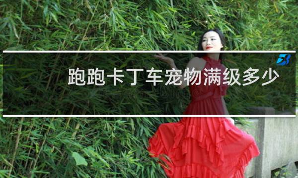 跑跑卡丁车宠物满级多少