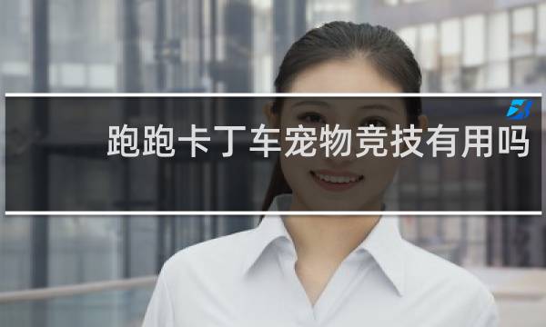 跑跑卡丁车宠物竞技有用吗