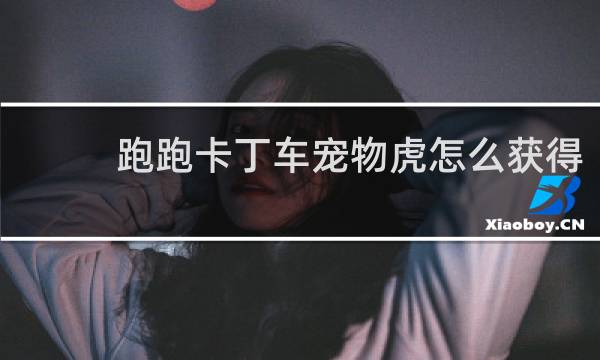 跑跑卡丁车宠物虎怎么获得