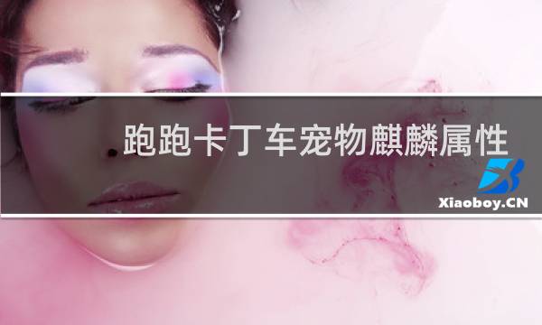跑跑卡丁车宠物麒麟属性