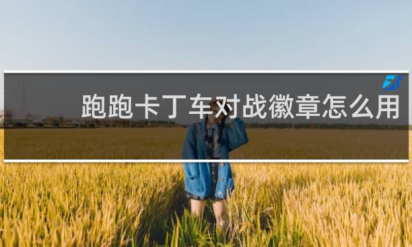 跑跑卡丁车对战徽章怎么用