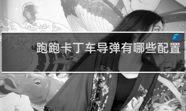 跑跑卡丁车导弹有哪些配置