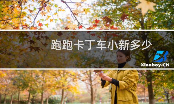 跑跑卡丁车小新多少