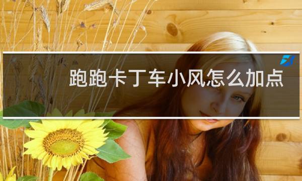 跑跑卡丁车小风怎么加点