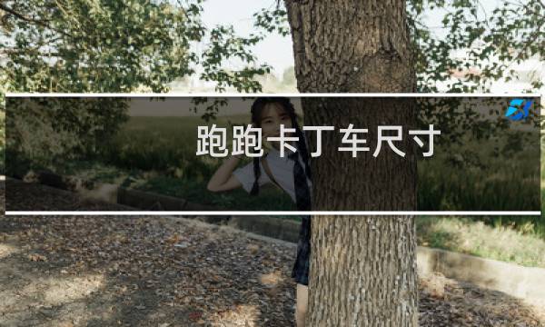 跑跑卡丁车尺寸