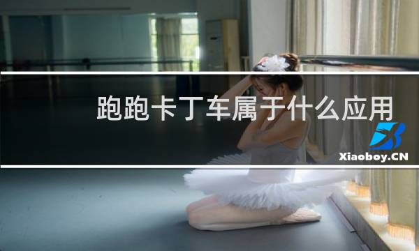 跑跑卡丁车属于什么应用