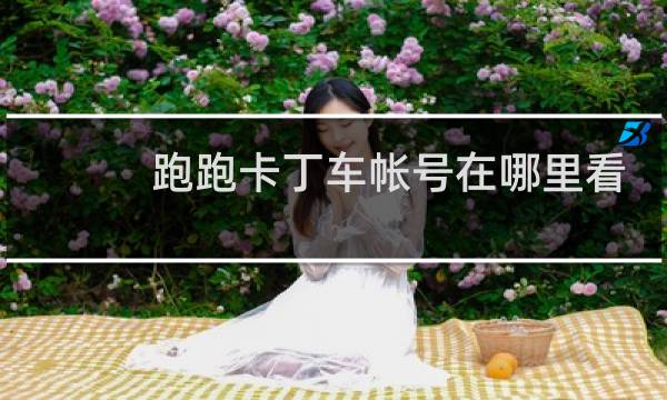 跑跑卡丁车帐号在哪里看