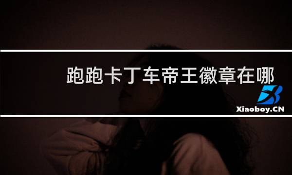 跑跑卡丁车帝王徽章在哪