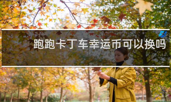 跑跑卡丁车幸运币可以换吗