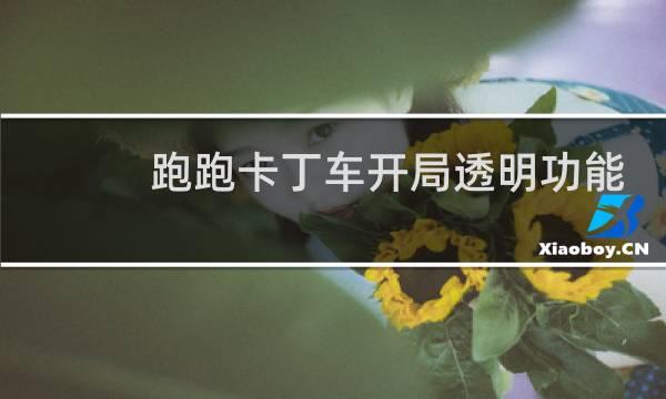跑跑卡丁车开局透明功能