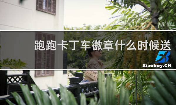 跑跑卡丁车徽章什么时候送