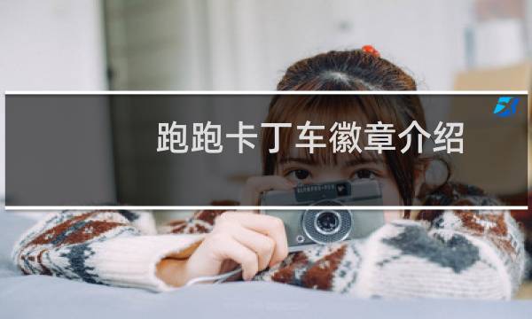 跑跑卡丁车徽章介绍