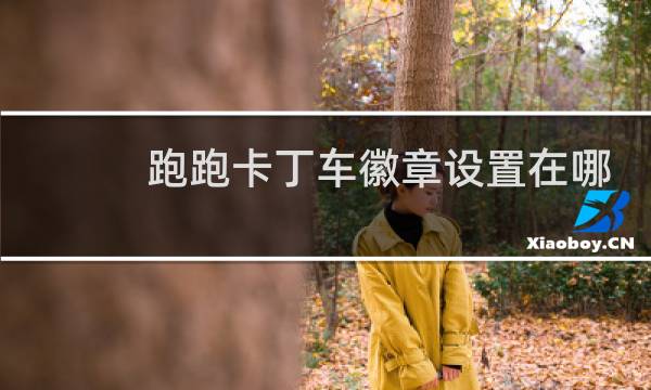 跑跑卡丁车徽章设置在哪