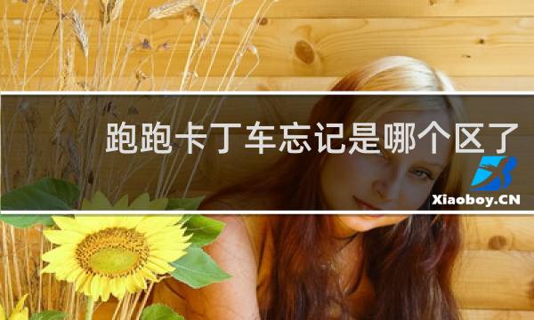 跑跑卡丁车忘记是哪个区了