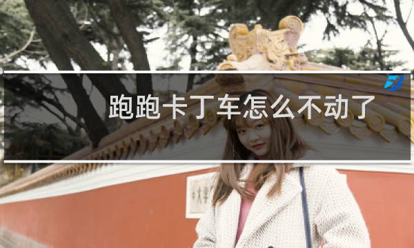跑跑卡丁车怎么不动了
