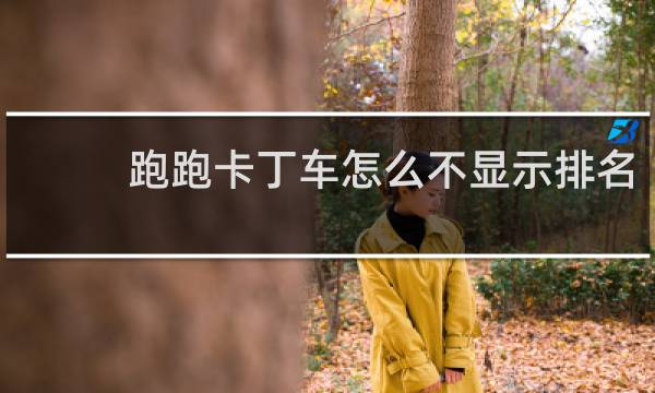 跑跑卡丁车怎么不显示排名