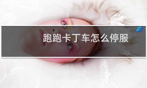 跑跑卡丁车怎么停服