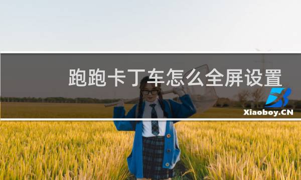跑跑卡丁车怎么全屏设置