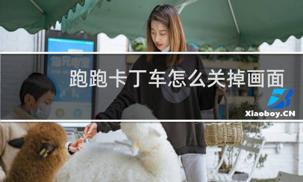 跑跑卡丁车怎么关掉画面