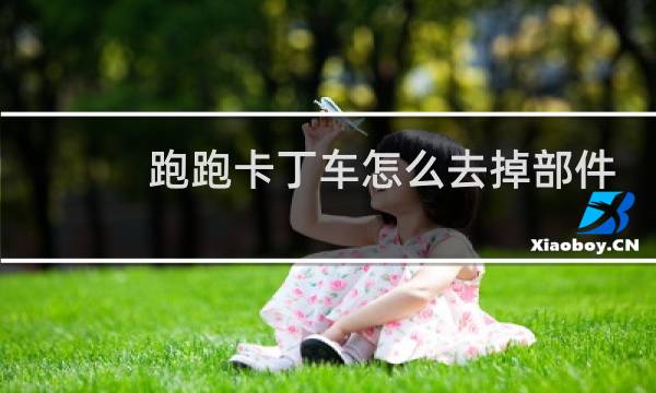 跑跑卡丁车怎么去掉部件