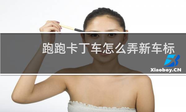 跑跑卡丁车怎么弄新车标