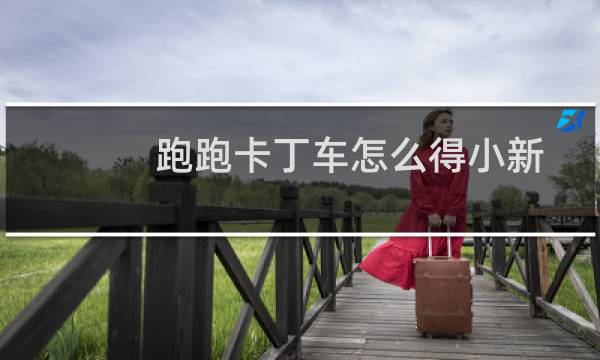 跑跑卡丁车怎么得小新