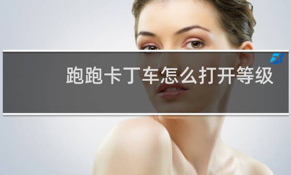 跑跑卡丁车怎么打开等级
