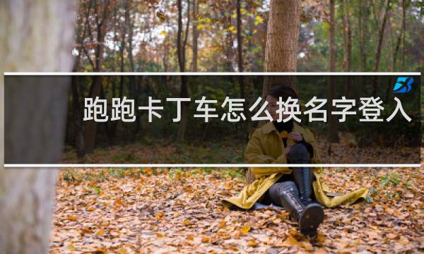 跑跑卡丁车怎么换名字登入