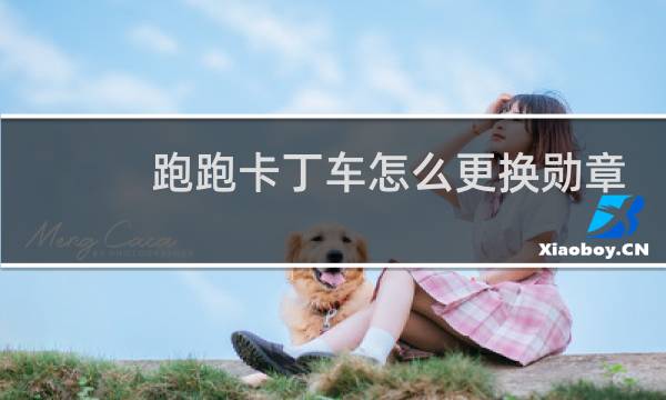 跑跑卡丁车怎么更换勋章